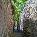 Passy: History and tour of this "chic" Parisian neighborhood - Meeting at Passy Cemetery: The Starting Point