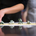 Pasta Cooking Experience in Florence - Expert Guidance from Knowledgeable Chefs