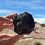 Pasta-Making & Truffle Class with Wine Included - The Unique Focus on Truffles and Pasta in Tuscany
