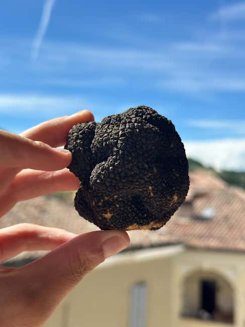 Pasta-Making & Truffle Class with Wine Included - The Unique Focus on Truffles and Pasta in Tuscany