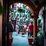 Patios of Cordoba Walking Tour - Starting Point in Calle Caballerizas Reales