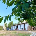 Peccioli: Wine tasting experience - Discovering the Estate of Podere Borgaruccio
