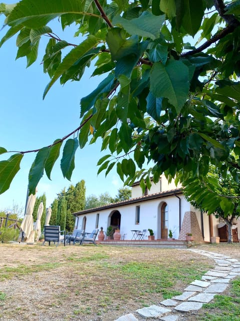 Peccioli: Wine tasting experience - Discovering the Estate of Podere Borgaruccio