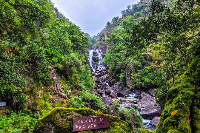 Peneda - Gerês National Park Lagoons and Waterfalls Tour - The Highlight of the Tour: Waterfalls and Lagoons