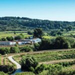Penedès E-Bike & Organic Wine Tour with Montserrat Views - Discovering a 10th Generation Organic Winery