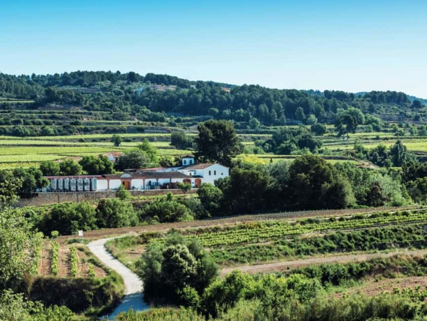 Penedès E-Bike & Organic Wine Tour with Montserrat Views - Discovering a 10th Generation Organic Winery