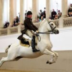 Performance Of The Lipizzans At Spanish Riding School - The Performance: Exercises and Horses