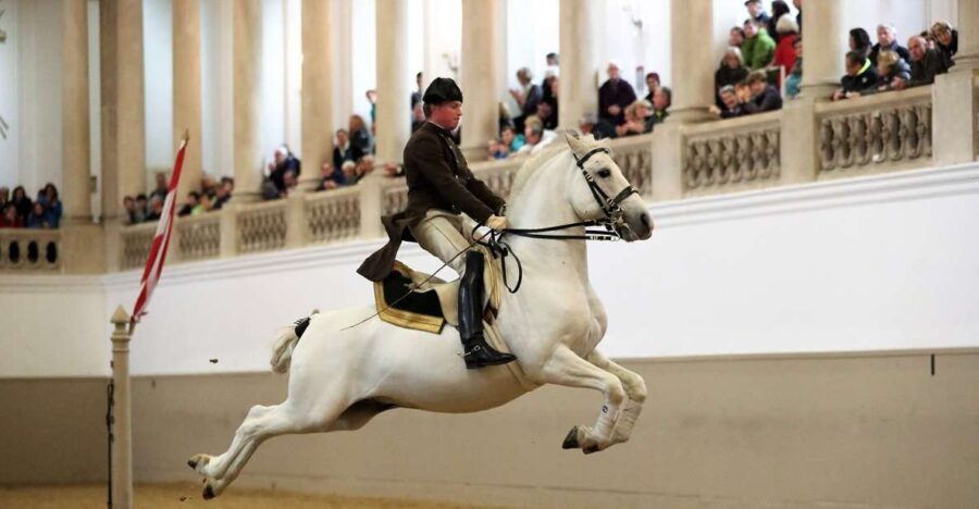 Performance Of The Lipizzans At Spanish Riding School - The Performance: Exercises and Horses