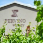 PERVINO - Wine tasting - Tasting Experience with a Guided Approach