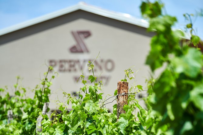 PERVINO - Wine tasting - Tasting Experience with a Guided Approach