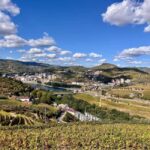 Peso da Régua: Casa da Formiga Wine & Olive Oil Tasting - Key Points