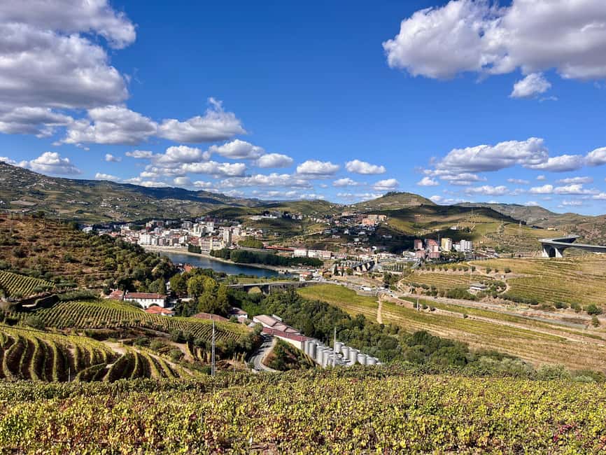 Peso da Régua: Casa da Formiga Wine & Olive Oil Tasting - Key Points