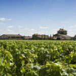 Pessac Leognan 4.5 hours Wine Tour in a Citroën 2CV from Bordeaux - Unique Experience in a Iconic Convertible Vehicle