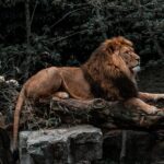 Photoshoot Experience in Amsterdam - Custom and Famous Itinerary for Unique Shots