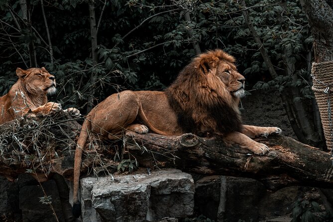 Photoshoot Experience in Amsterdam - Custom and Famous Itinerary for Unique Shots