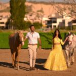 Photoshoot with Running Horses - The Role of the Photographer and Guidance