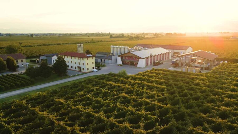 Piave: Bellussera Tour with Wine and Product Tasting - The Historical and Cultural Stops: Chiesetta del Carmine and Torre di Rai