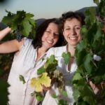 Pic nic Deluxe Assisi and wine tasting 5 wines - Starting Point and Meeting Details in Assisi