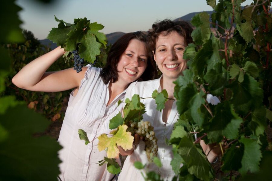 Pic nic Deluxe Assisi and wine tasting 5 wines - Starting Point and Meeting Details in Assisi