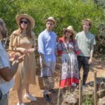 Pic nic in a country house in Palermo - Starting Point and Easy Accessibility in Palermo