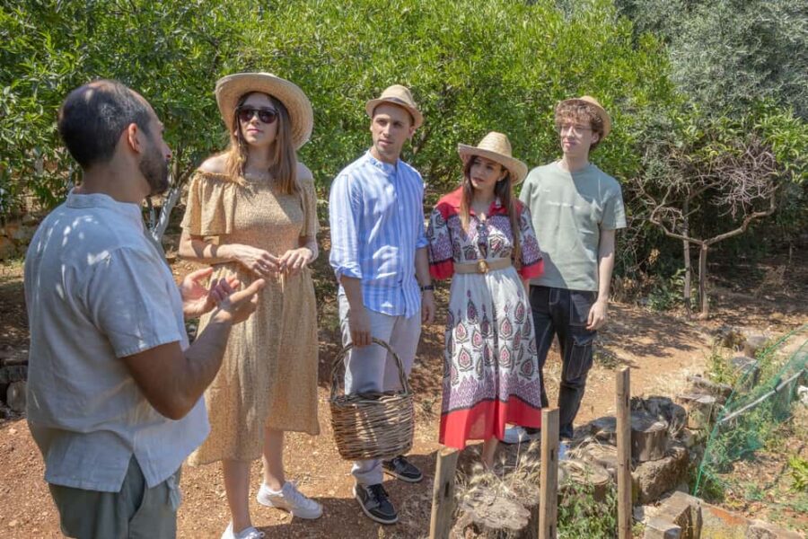 Pic nic in a country house in Palermo - Starting Point and Easy Accessibility in Palermo