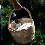 Pic-nic in the vineyard - What Makes the Picnic in the Vineyard Special
