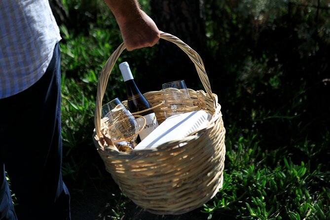 Pic-nic in the vineyard - What Makes the Picnic in the Vineyard Special