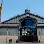 Picasso Museum Guided Tour in Barcelona - The Guide’s Role and Tour Experience