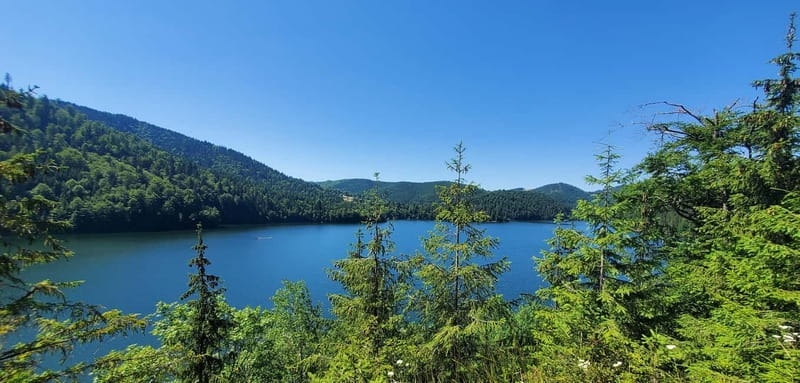 Pick-up from Cluj: e-Mountain Bike Tour Lake Dragan - Starting Point and Meeting Details at Piața Unirii 25
