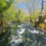 Picnic in Nature & Video + Photoshoot  Agios Nikolaos, Naoussa - What the Picnic in Nature Includes