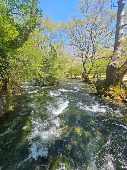 Picnic in Nature & Video + Photoshoot  Agios Nikolaos, Naoussa - What the Picnic in Nature Includes