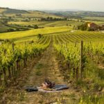 Picnic in vineyards with Bottle of Brunello di Montalcino - What Makes This Tuscan Picnic Unique in Montalcino