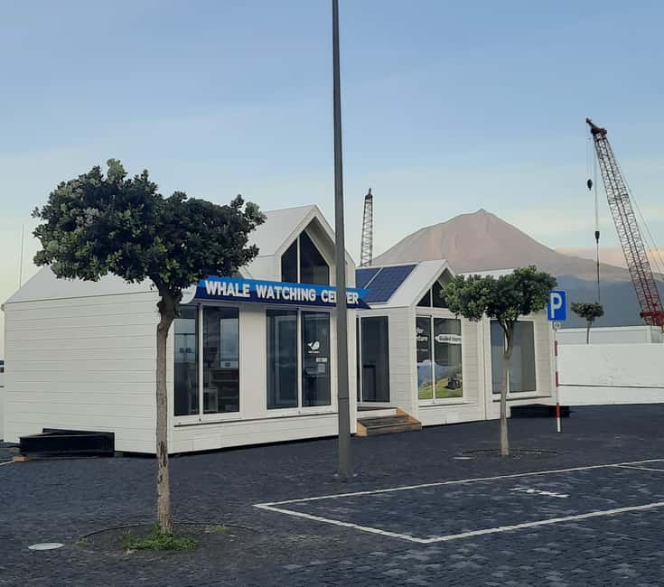 Pico Island: Azores Whale & Dolphin Watching on Zodiac Boat - The Zodiac Boat Adventure and Safety Measures