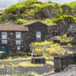 Pico Island: Full Day Wine Culture Tour - Starting Point at Madalena Ferry Terminal