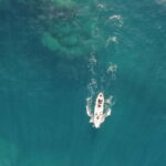 Pico island: guided kayak and snorkel tour - Starting Point at the Lajes Do Pico Harbour