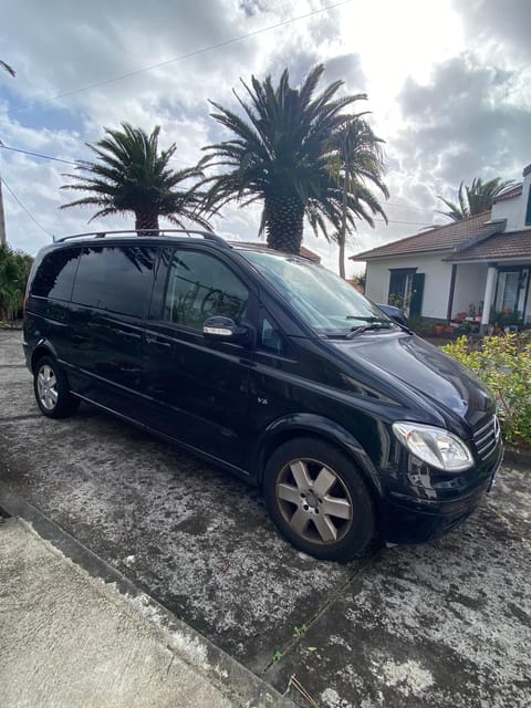 Pico Wine Tours - The Personalized Approach with Jose Silva Garcia Costa