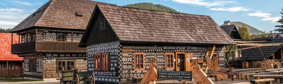 Pieany: Beckov and Trenín Castles & imany Tour - Discovering Trenín Castle’s Medieval Grandeur