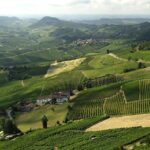 Piemonte Vineyards by Yourself from Turin - Business Car with English Chauffeur - Starting from Turin: Hassle-Free Vineyard Exploration