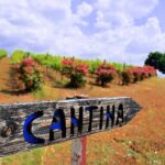 Pienza, Montalcino, Brunello Wine and Pecorino Cheese PRIVATE TOUR from FLORENCE - The Luxury Transport and Private Guide Experience