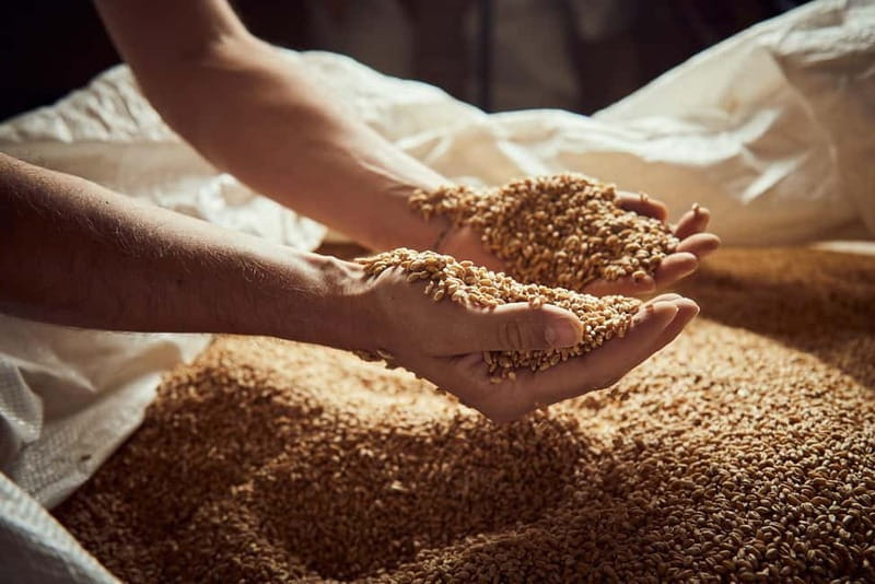 Pienza: tour of the mill with oil and wine tasting - The Scenic Drive to Podere Biancamicia with a View