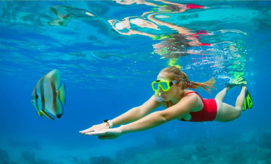 Pillars of Hercules Hiking Adventure - Meeting Point and Transportation in Gibraltar