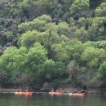 Pinhão: 4 Hour Douro Valley Kayak Rental - Convenient Meeting Point and Easy Access