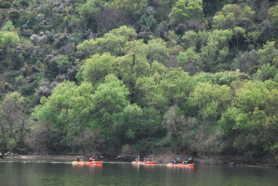 Pinhão: 4 Hour Douro Valley Kayak Rental - Convenient Meeting Point and Easy Access