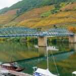 Pinhão Boat, lunch&wine tour - Scenic Drive Through Douro’s Traditional Village