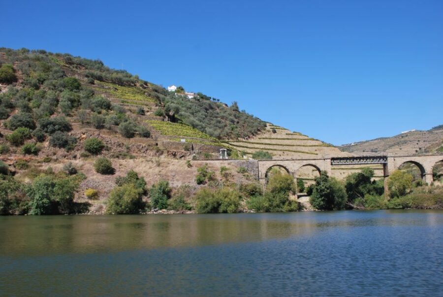 Pinhão: Rabelo Boat 1-Hour Tour - Practical Tips for the Tour