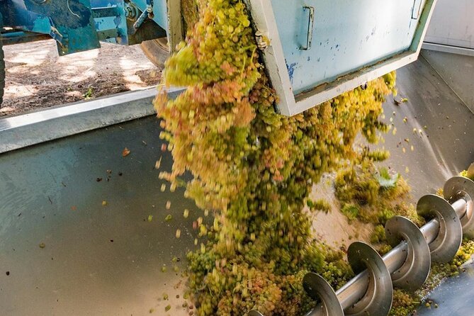 Pinot Noir & Pinot Wine Tour to Baden-Württemberg - Lunch Break at a Local Bistro in Ihringen