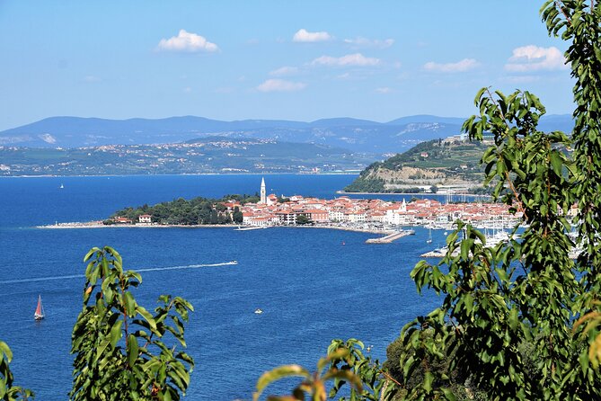 Piran & Panoramic Slovenian Coast from Trieste - Easy Pickup and Comfortable Transportation in Trieste