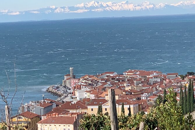 Piran & Panoramic Slovenian Coast Tour (up to 8 persons) - Starting Point at Koper’s Cruise Terminal