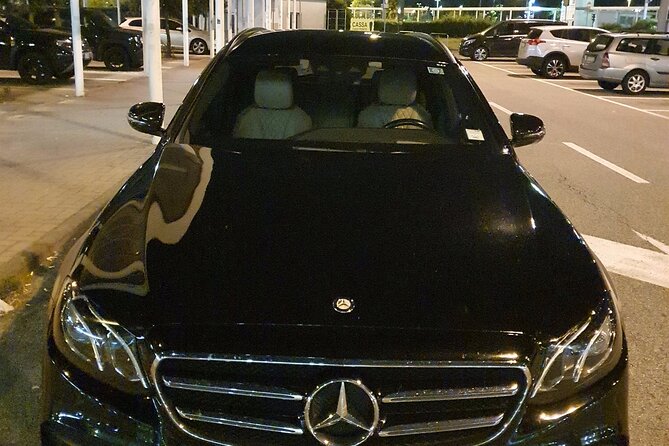 Pisa Airport (PSA) to La Spezia Cruise Port - Round-Trip Private Transfer - The Experience of the Drivers and Service Quality