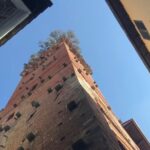 Pisa and Lucca from the Livorno Cruise Port - Starting Point at Livorno Cruise Port